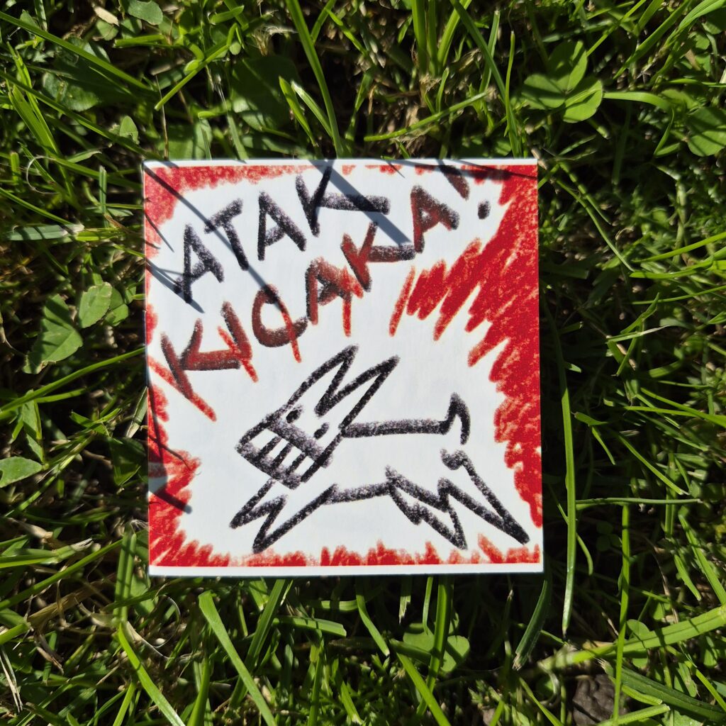 Atak kicaka!