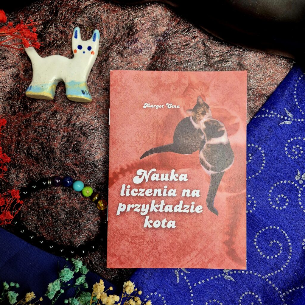 Nauka liczenia na przykładzie kota