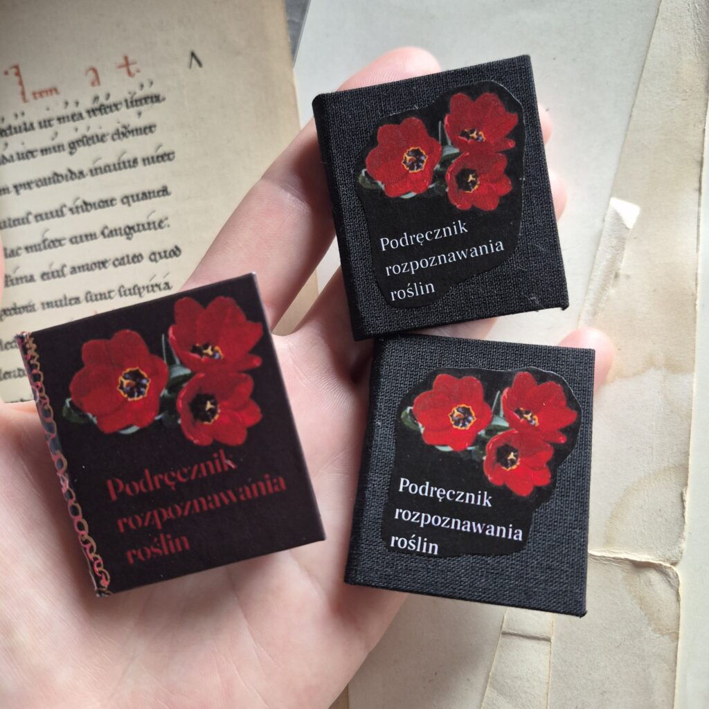 Podręcznik rozpoznawania roślin